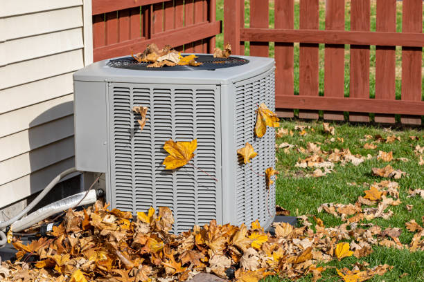 Best Residential HVAC services  in Wliamsvle, IL