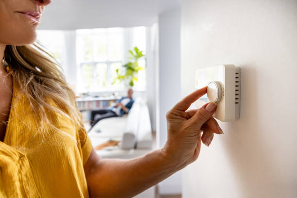 Best HVAC tune-up services  in Wliamsvle, IL